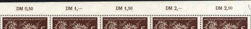 Image:ddr0561.1.small_rwz1.jpg
