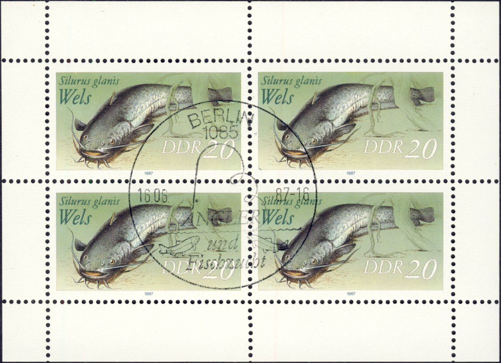 Image:ddr3097IKlb.1mh.small_bg1.jpg