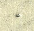 Image:bnd0252.4.small_npfL4mb.jpg