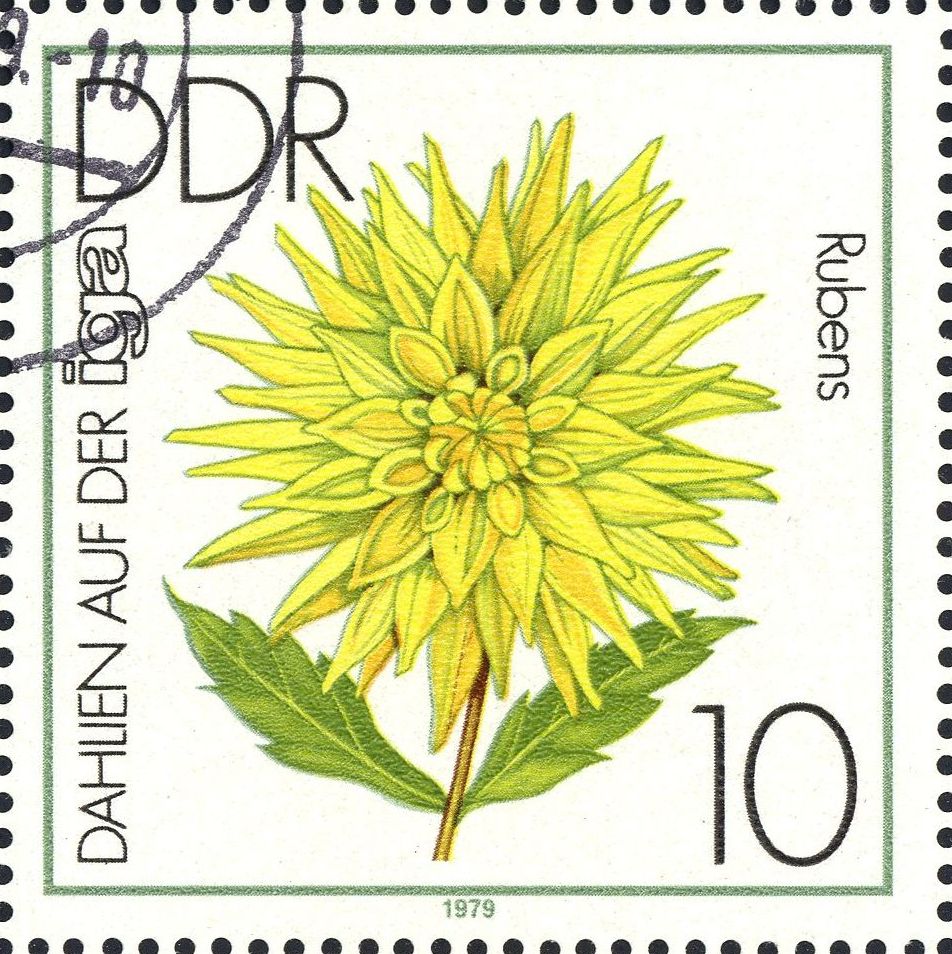 Image:ddr2435.1.big.jpg