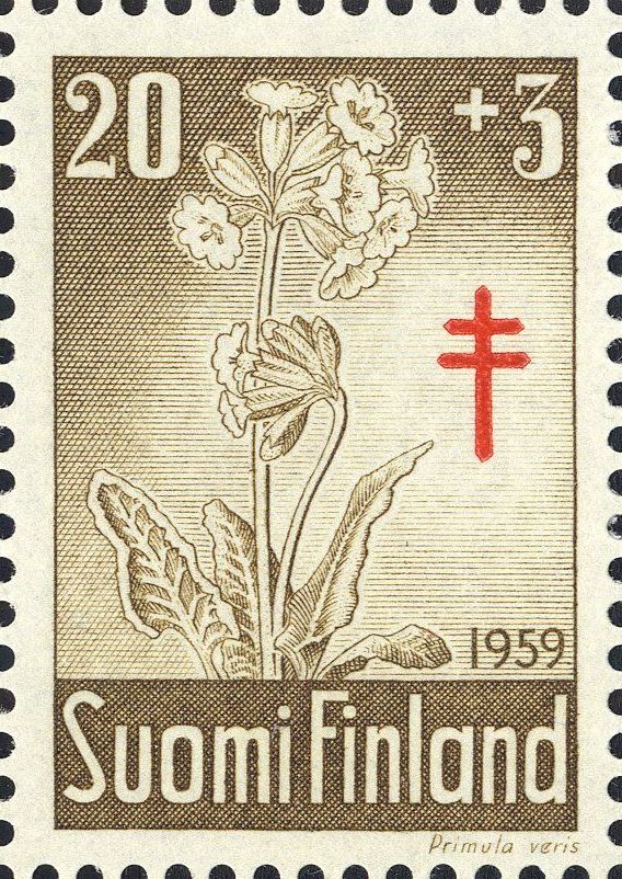 Image:fin0510.1.big.jpg