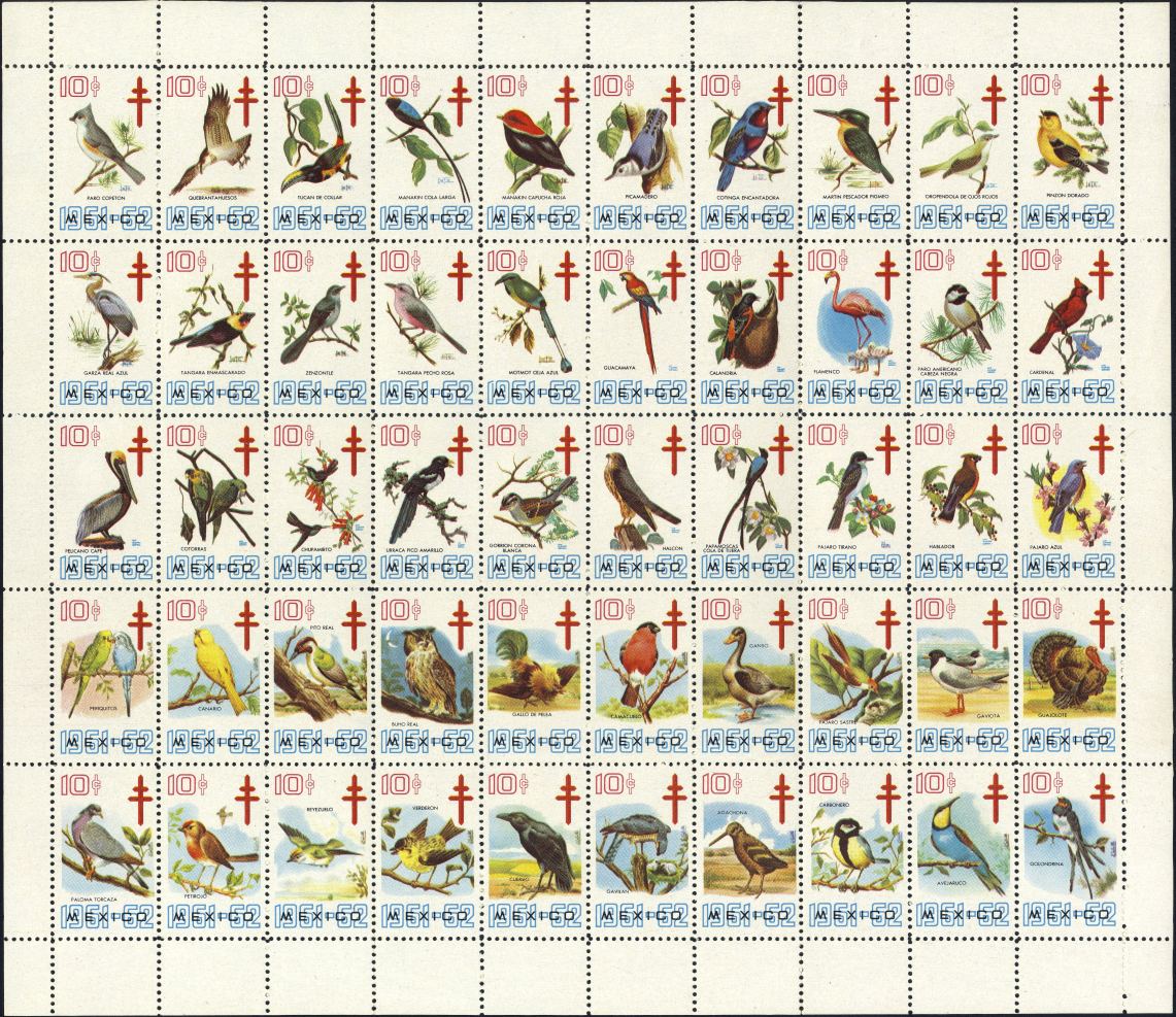 Image:vgn_mex_wsm1961.3.small_bg1.jpg