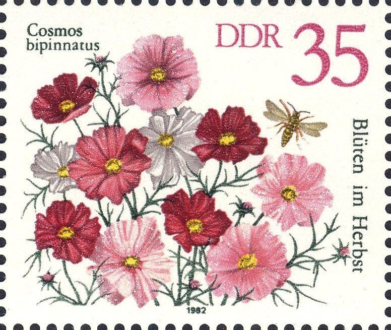 Image:ddr2742.1.big.jpg
