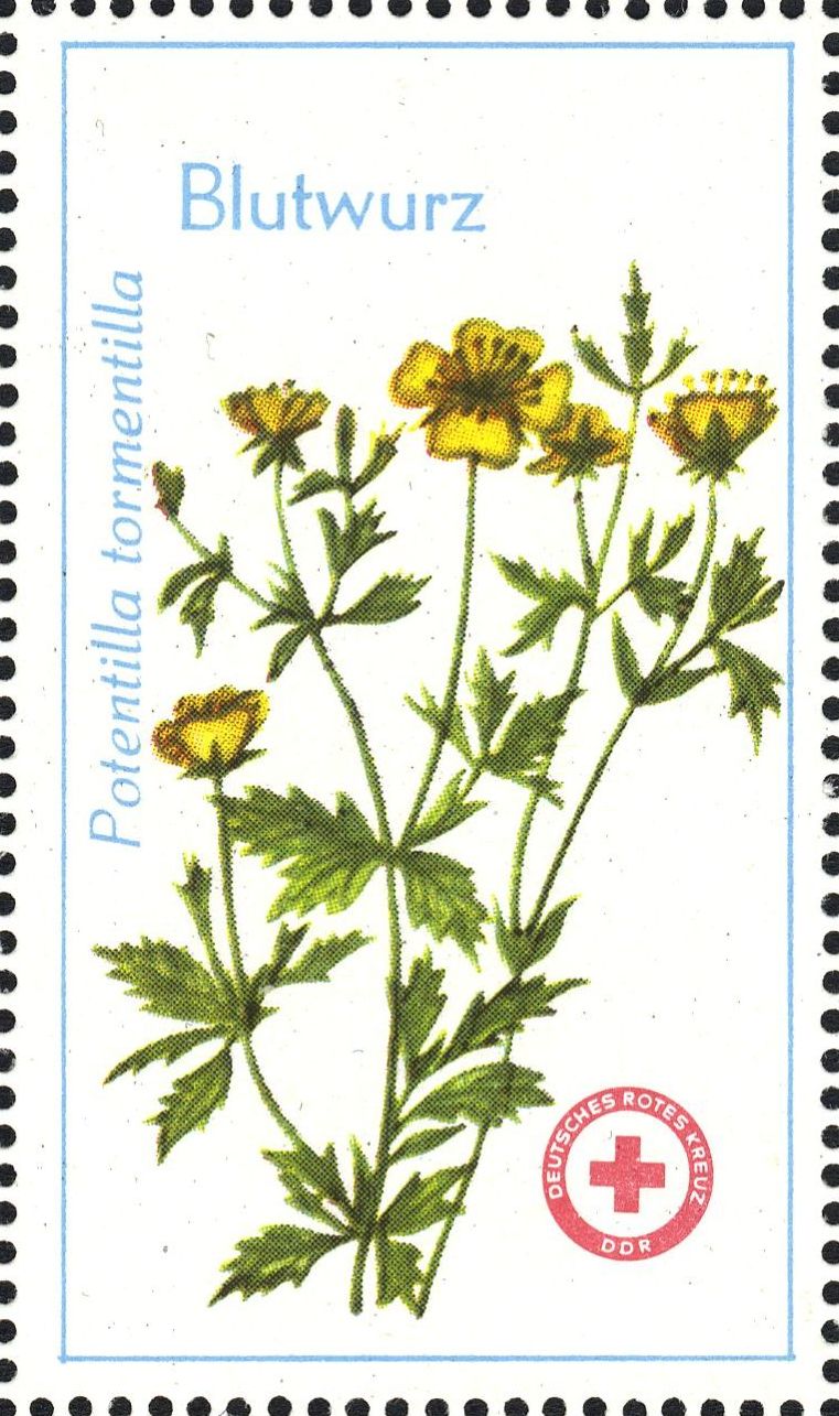 Image:ddr_drksms0007.1.f3.big.jpg