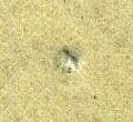 Image:bnd0226xw.023.small_jpfL3mb.jpg