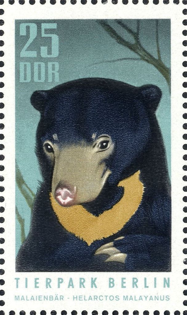 Image:ddr1620.1.big.jpg