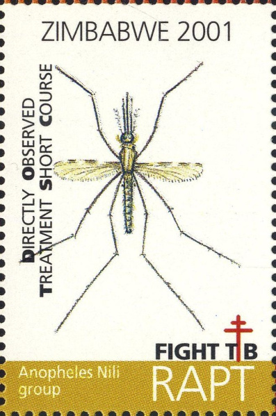 Datei:Vgn rhzw wsm2001.1.big.jpg