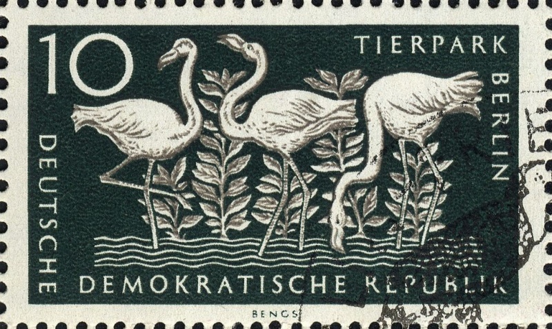 Datei:Ddr0552.1.big.jpg