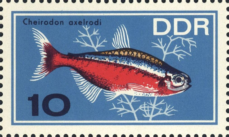 Datei:Ddr1222.1.big.jpg