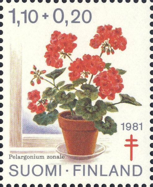 Datei:Fin0887.1.big.jpg