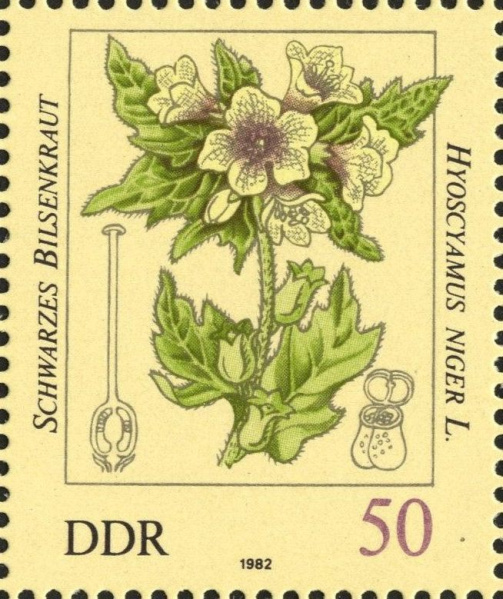 Datei:Ddr2696.4js.big.jpg