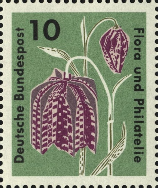 Datei:Bnd0392.1.big.jpg