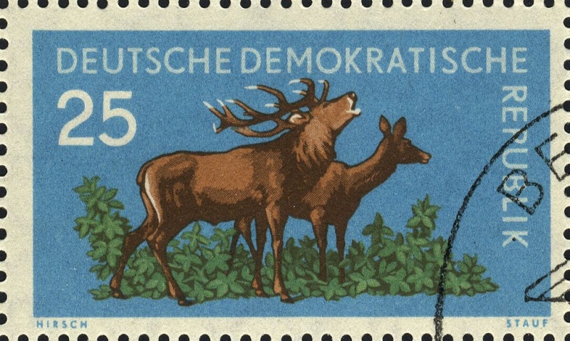 Datei:Ddr0740.1.big.jpg