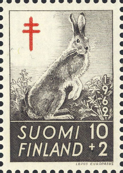 Datei:Fin0551.1.big.jpg