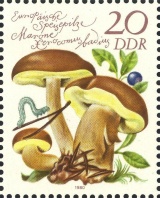 MiNr. 2554