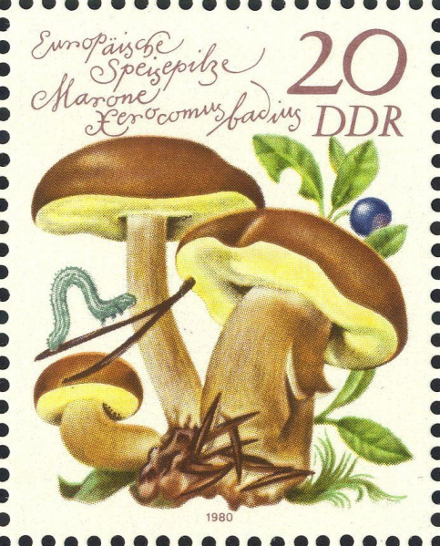 Datei:Ddr2554.1.big.jpg