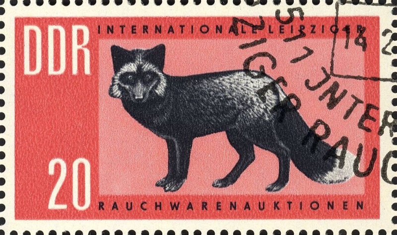 Datei:Ddr0945.2.big.jpg