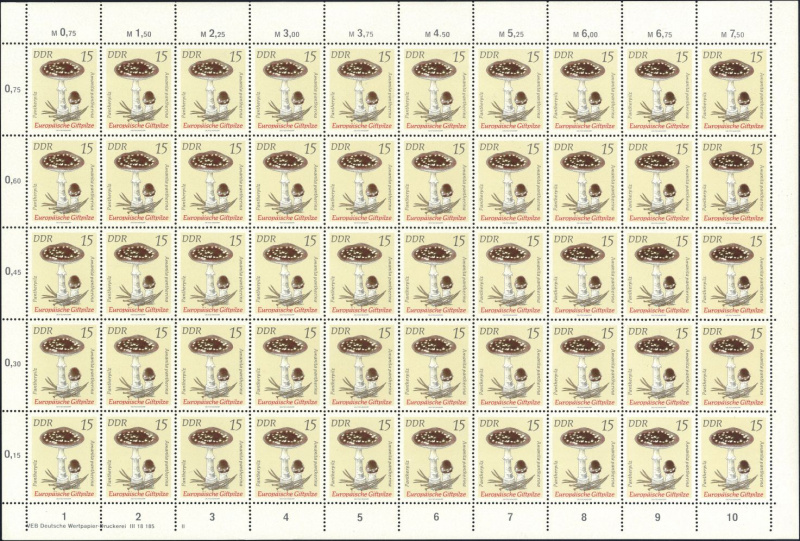 Datei:Ddr1935.1.small bg1.jpg