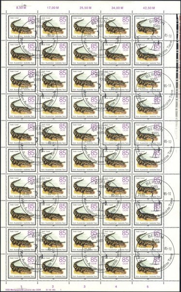 Datei:Ddr2956.3.small bg1.jpg