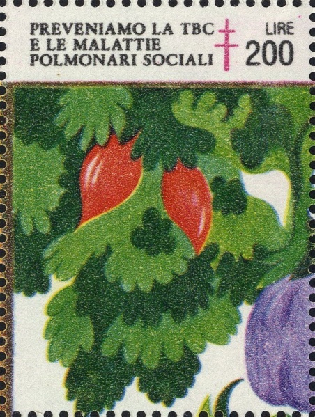 Datei:Vgn ita wsm1986.1.f1.big.jpg