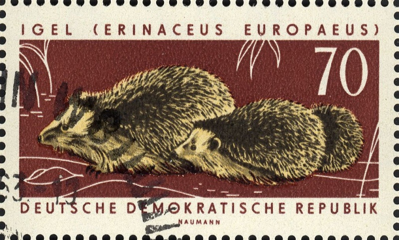 Datei:Ddr0982.2.big.jpg