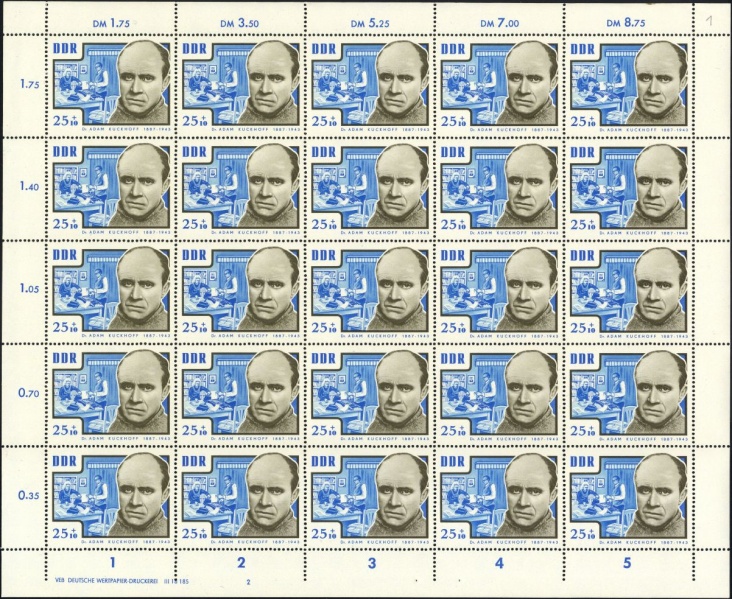 Datei:Ddr1018.13.small bg1.jpg