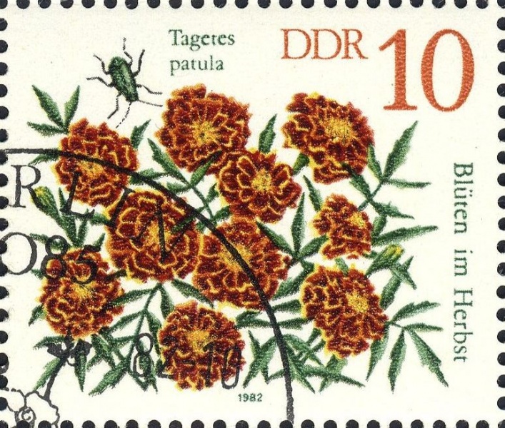 Datei:Ddr2738.1.big.jpg