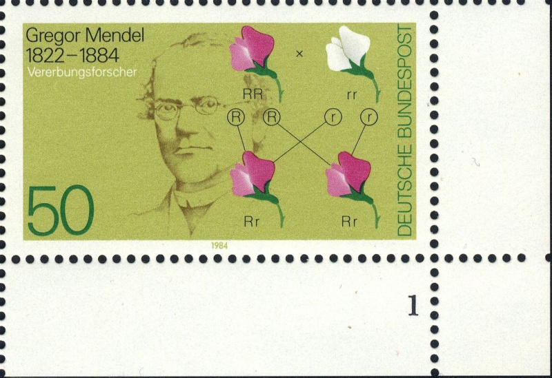 Datei:Bnd1199.1.big fn1f50.jpg