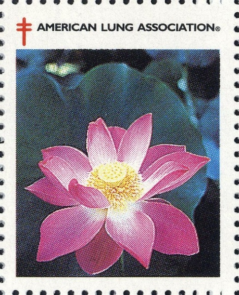 Datei:Vgn usa ss1994b.1.big.jpg