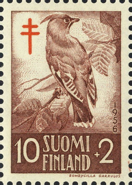 Datei:Fin0461.1.big.jpg