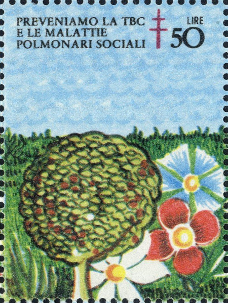 Datei:Vgn ita wsm1980.1.f11.big.jpg