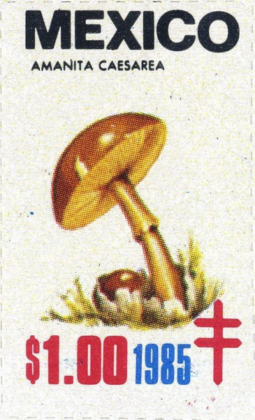 Datei:Vgn mex wsm1985.2.f50.big.jpg
