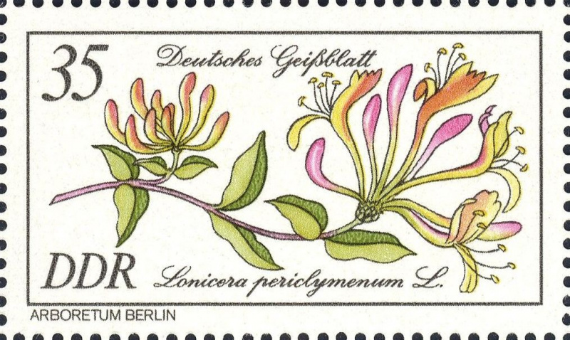 Datei:Ddr2577.1.big.jpg