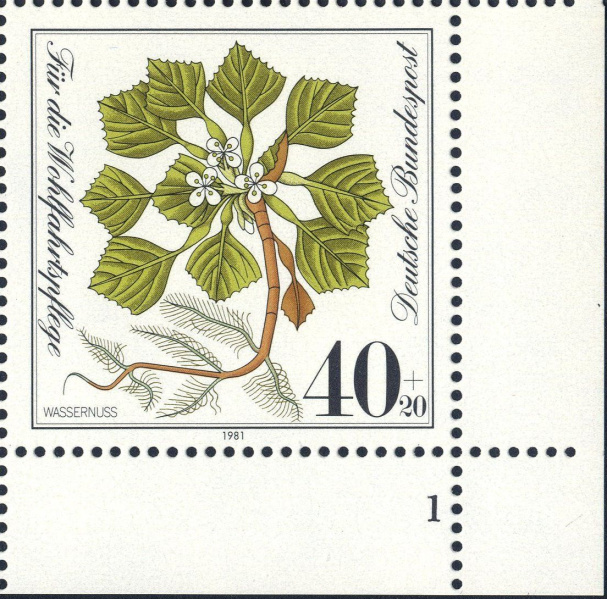 Datei:Bnd1108.2.big fn1f25.jpg