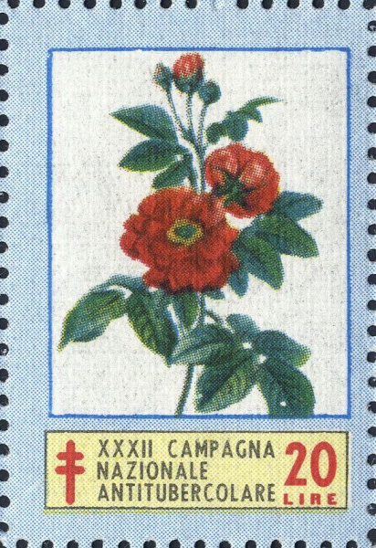 Datei:Vgn ita wsm1969.2.f2.big.jpg