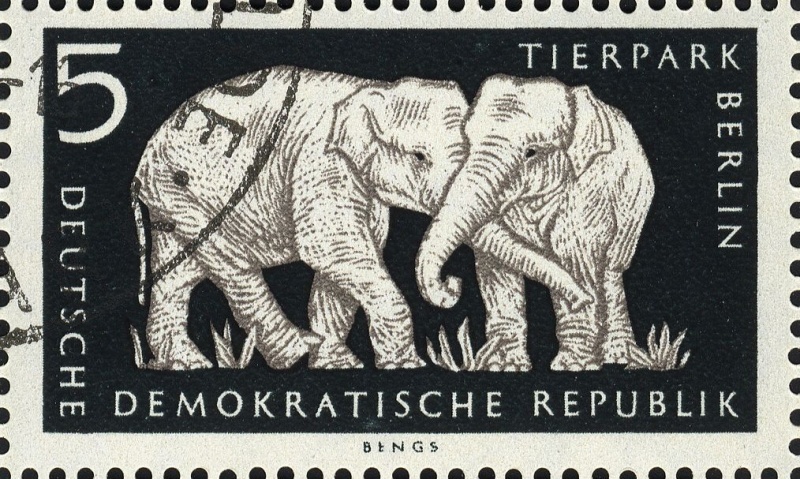 Datei:Ddr0551.1.big.jpg