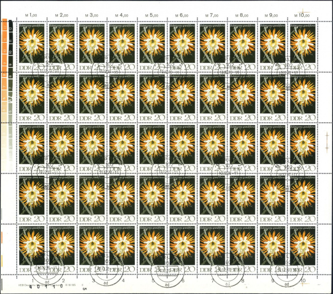 Datei:Ddr1628.3.small bg1.jpg