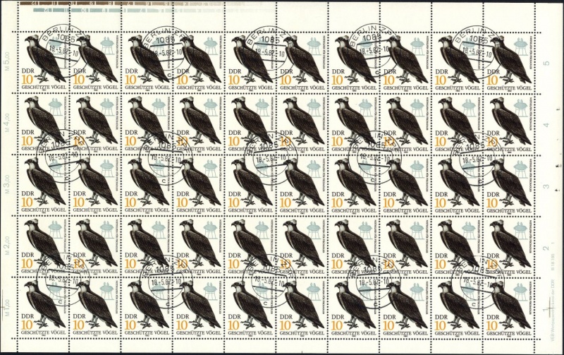Datei:Ddr2702.1.small bg1.jpg