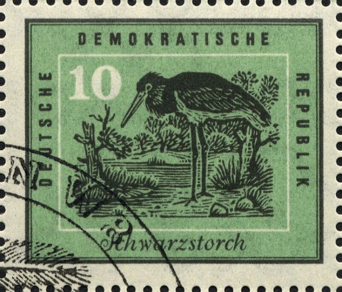 Datei:Ddr0699.2.big.jpg