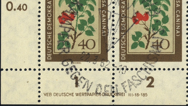 Datei:Ddr0761.1.big dvf41.jpg