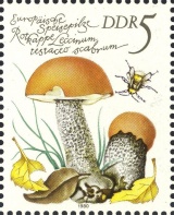 MiNr. 2551