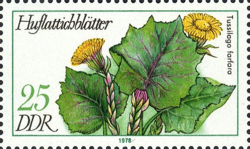 Datei:Ddr2290.1.big.jpg