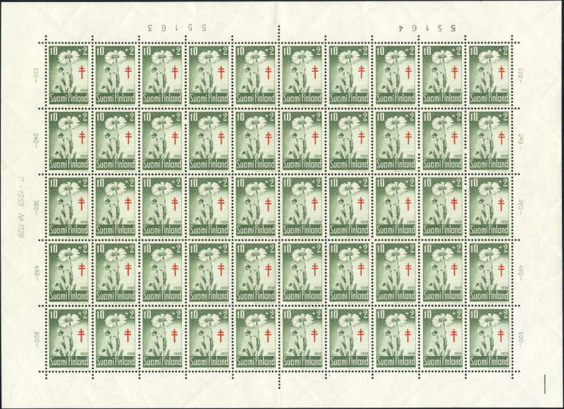 Datei:Fin0509.1.small bg1.jpg
