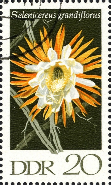 Datei:Ddr1628.1.big.jpg