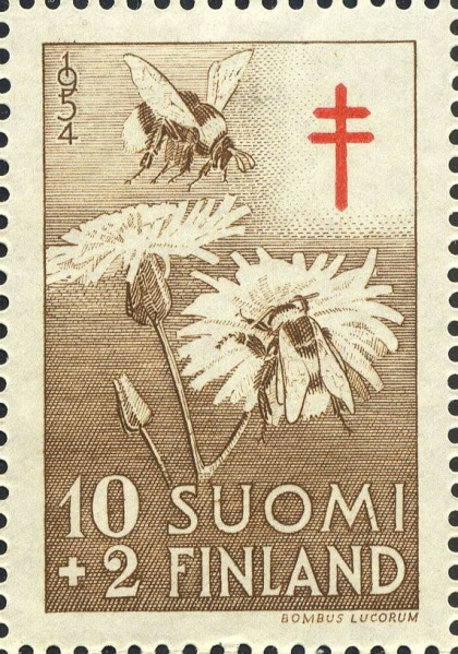 Datei:Fin0434.1.big.jpg