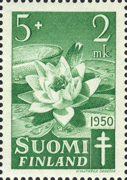 Datei:Fin0385.1.big.jpg