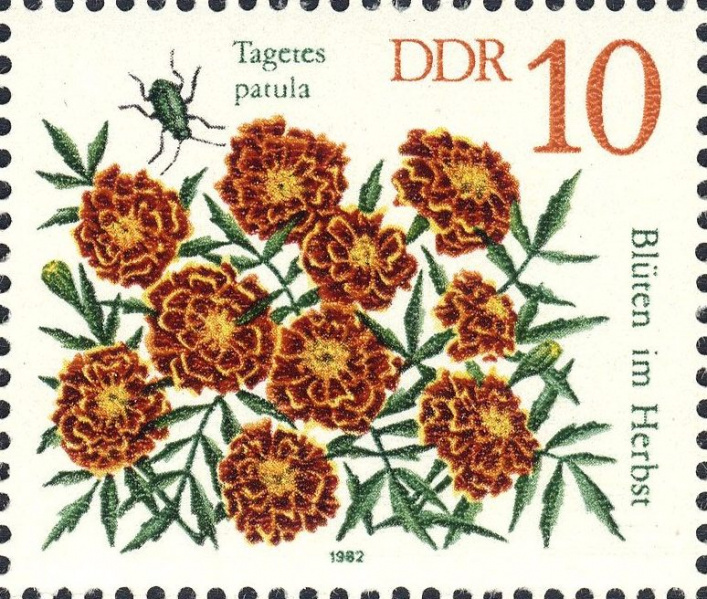Datei:Ddr2738.2.big.jpg