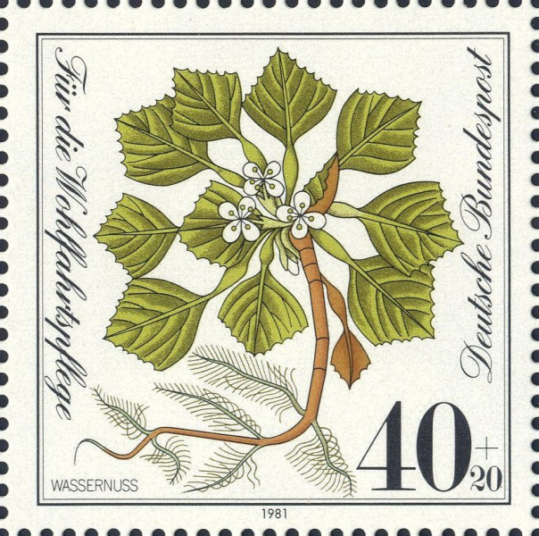 Datei:Bnd1108.2.big.jpg