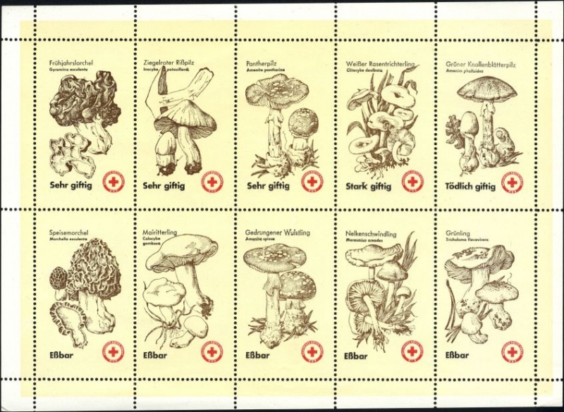Datei:Ddr drksms0008.1.small bg1.jpg