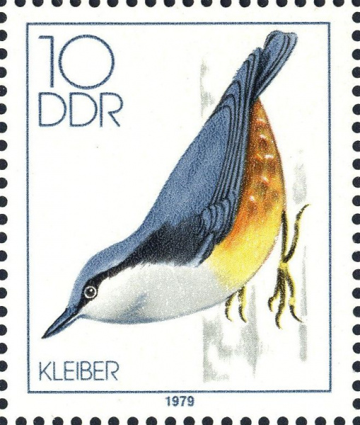 Datei:Ddr2389.1.big.jpg